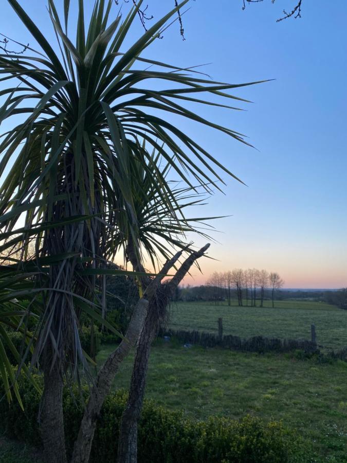 Maisonbel, Gite Convivial Bretagne Vannes Sarzeau 15 Personnes Surzur Экстерьер фото